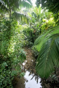 20180414_FAUBAI_PUC_4400