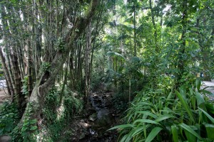 20180414_FAUBAI_PUC_4406