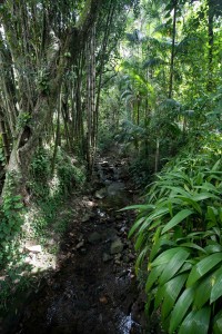 20180414_FAUBAI_PUC_4408